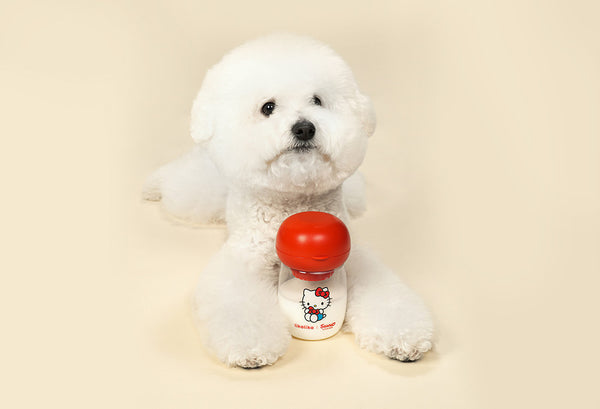 Sanrio One-Touch Water Bottle