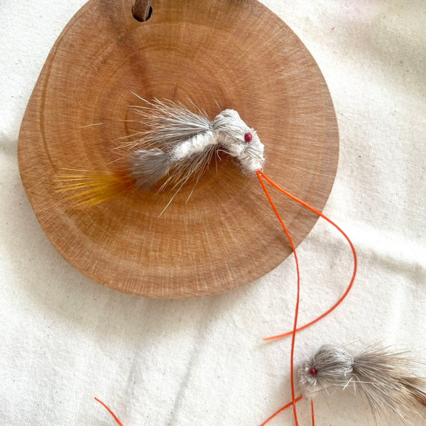 Mini Red Eye Reed Bug Cat Teaser Refill Toy