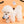 Happy Halloween Ball Toy