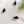 Mini Red Bean Beetle Cat Teaser Refill Toy