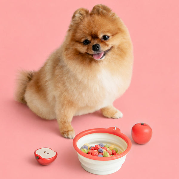 [PRE ORDER] Hello Kitty Pet Bowl