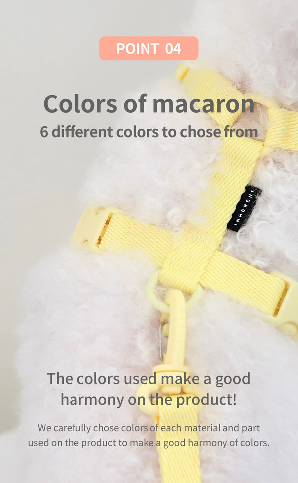 Macaron Dog Harness