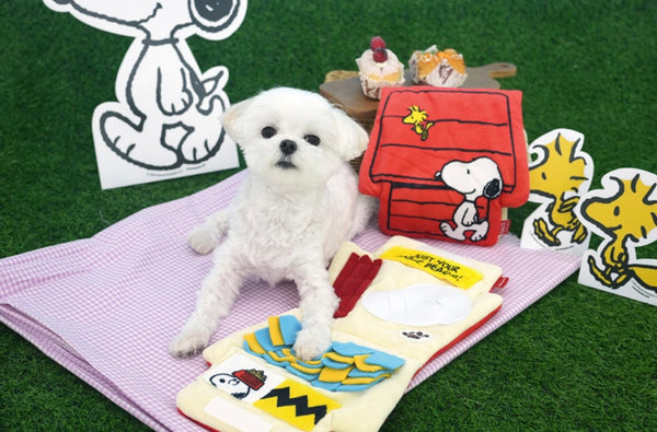 Snoopy House Nose Work Playmat Toy