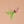 Hanging Palm Cat Fishing Rod Refill Toy