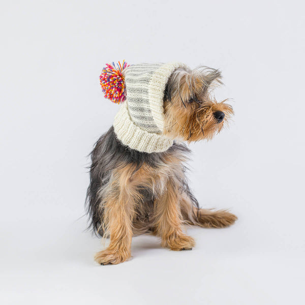 Rainbow Alpaca Dog Hat