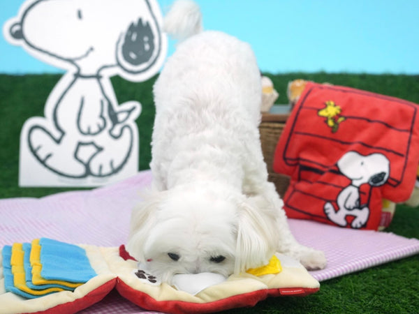 Snoopy House Nose Work Playmat Toy