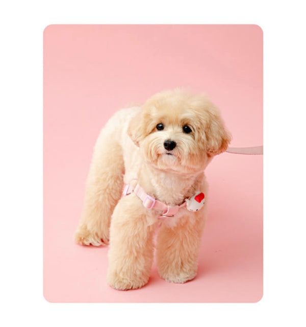 [PRE ORDER] Hello Kitty Pet LED Blinker