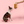 Bone Appétit Nosework Toy