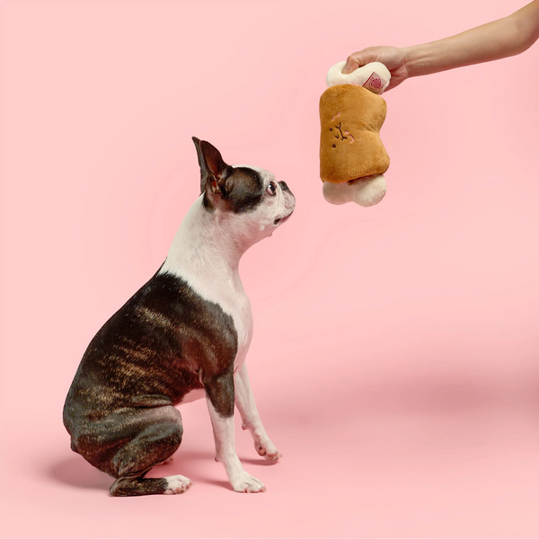 Bone Appétit Nosework Toy