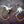 Canary String Feather Cat Teaser Wand Refill Toy