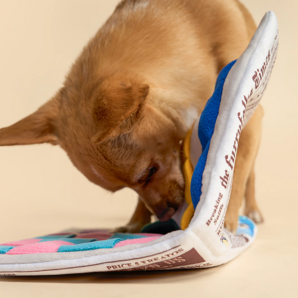 Newspaper Issue No.2 Nosework Toy