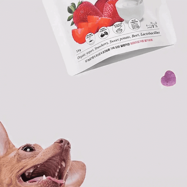Freeze Dried Organic Yogurt With Fruits