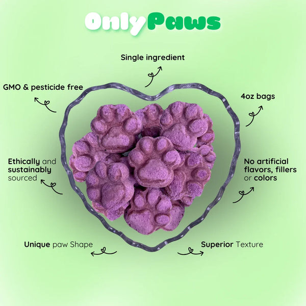 Freeze Dried Ube
