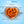 Freeze Dried Pumpkin