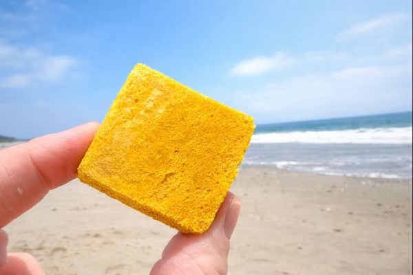 Freeze-Dried Organic Egg & Goat Kefir (Organic Pumpkin)