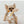 Snoopy Andy Rope Toy