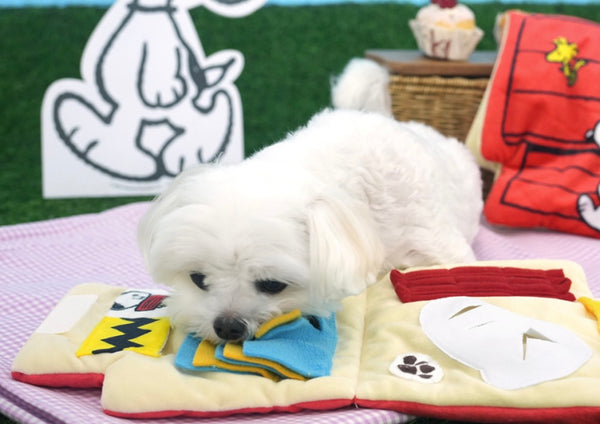 Snoopy House Nose Work Playmat Toy