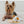Snoopy Andy Rope Toy