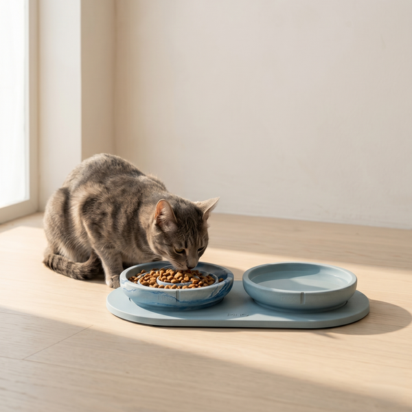 Whisker Friendly Bowl Bluebird Marble