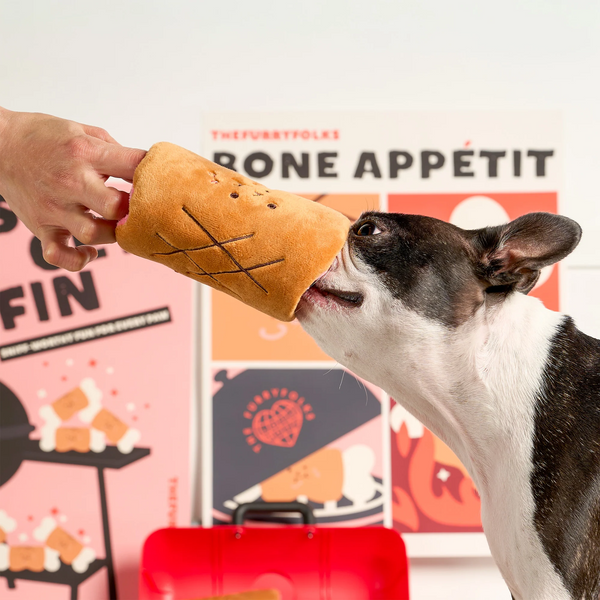 Bone Appétit Nosework Toy