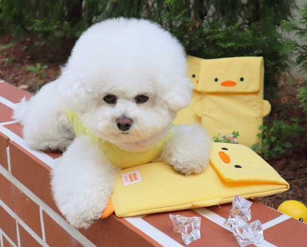 Duck Cooling Ice Pack Pouch