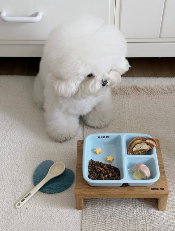 [PRE ORDER] FOOD PLATE - BLUE