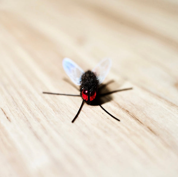 Fly Cat Teaser Refill Toy