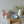 [PRE ORDER] DISH RACK - 4P