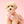 [PRE ORDER] Hello Kitty Pet LED Blinker