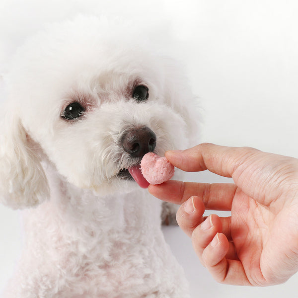 Freeze Dried Organic Yogurt With Fruits