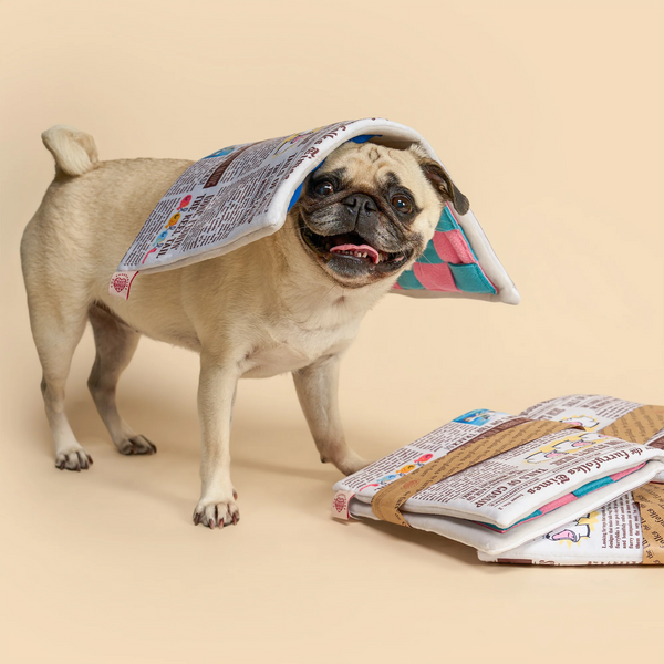 Newspaper Issue No.2 Nosework Toy