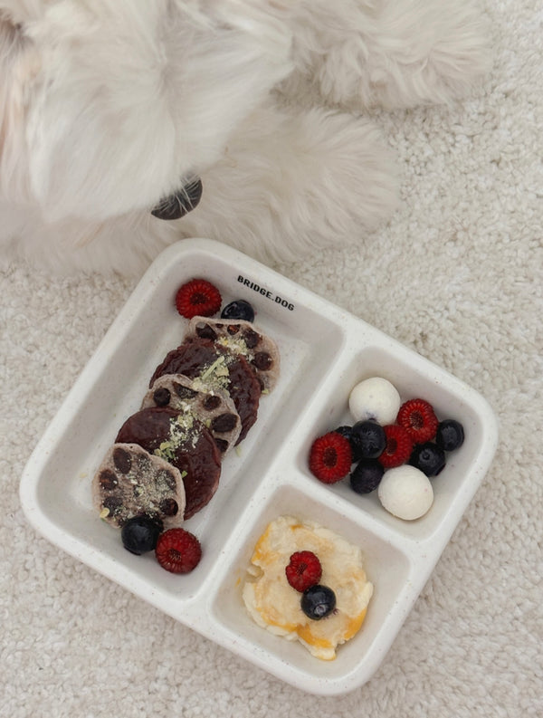 [PRE ORDER] FOOD PLATE - COLOR POP