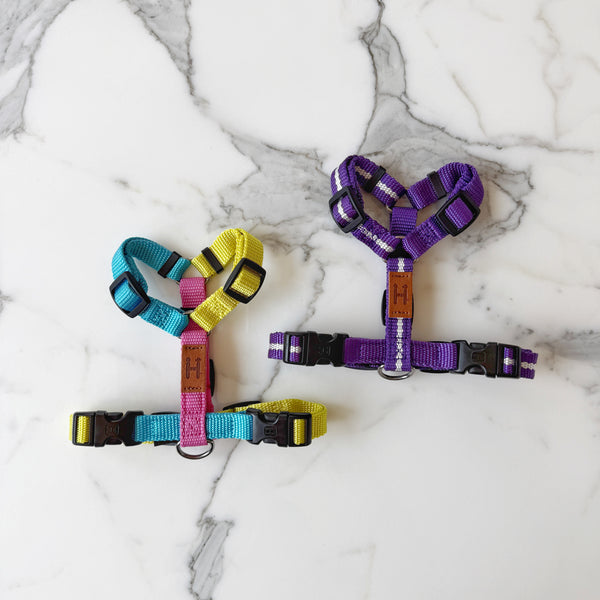 Florence Harness