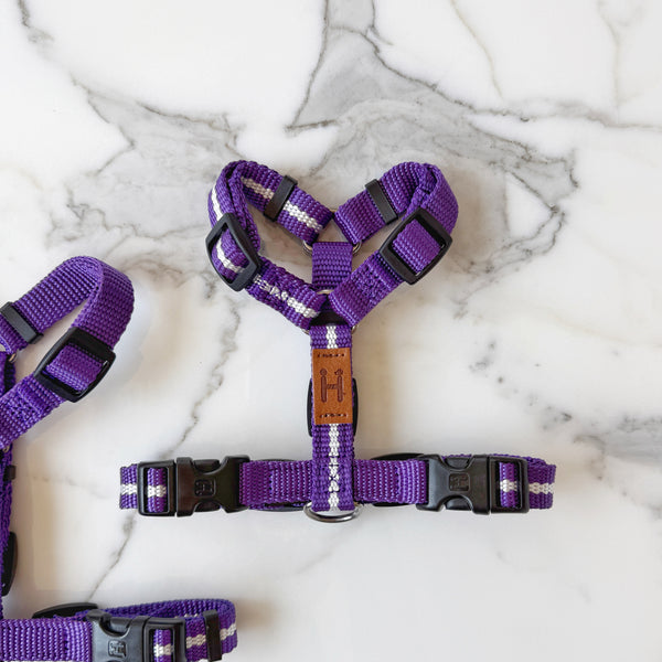 Florence Harness