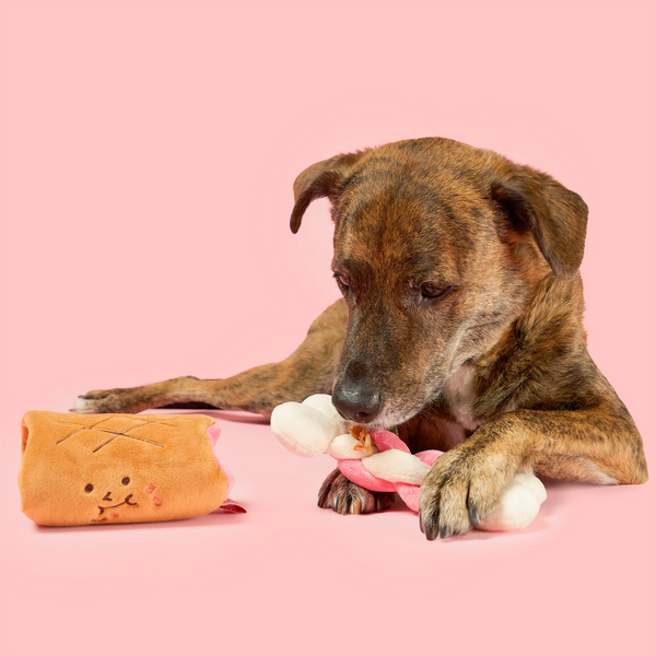 Bone Appétit Nosework Toy
