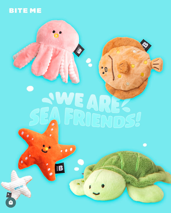 [PRE ORDER] Sea Friends Toy