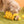 Poki-Pocket Nosework Toy