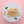 Freeze Dried Flatfish Stick