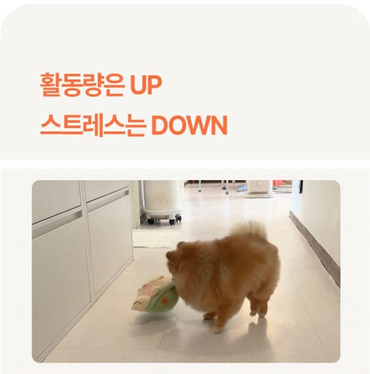 [PRE ORDER] Jumping Boogie Auto-Ball Toy