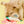 Doggo Wipe Nosework Toy