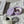 DOG SI RAK SNACK BOWL - Purple