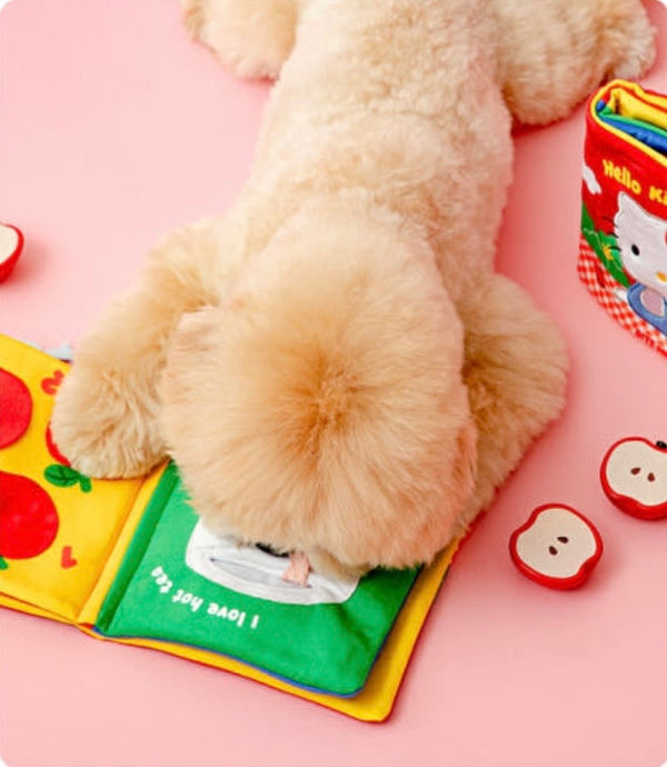 [PRE ORDER] Hello Kitty Nosework Play Book