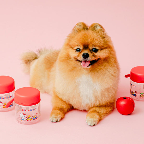 [PRE ORDER] Hello Kitty Mini Pet Snack Bottle
