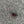 Mini Red Bean Beetle Cat Teaser Refill Toy