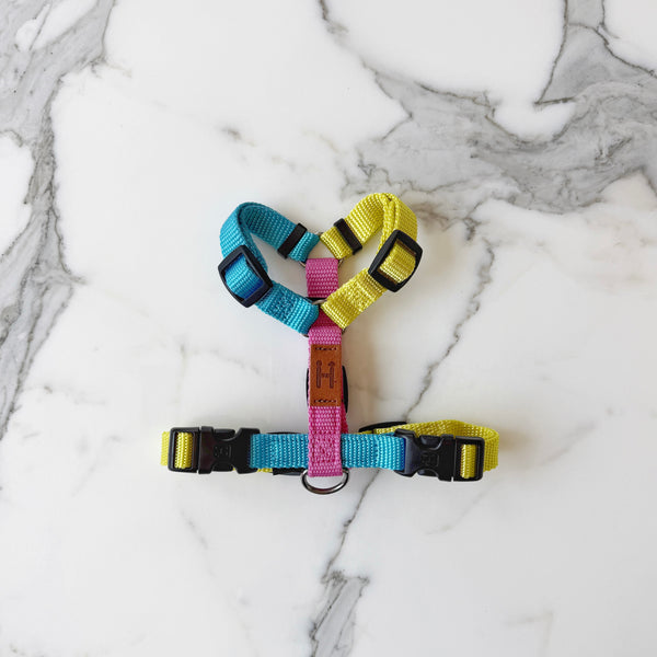 Unicorn Harness
