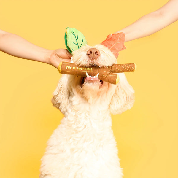 Branch Manager’s Branch Nosework Toy