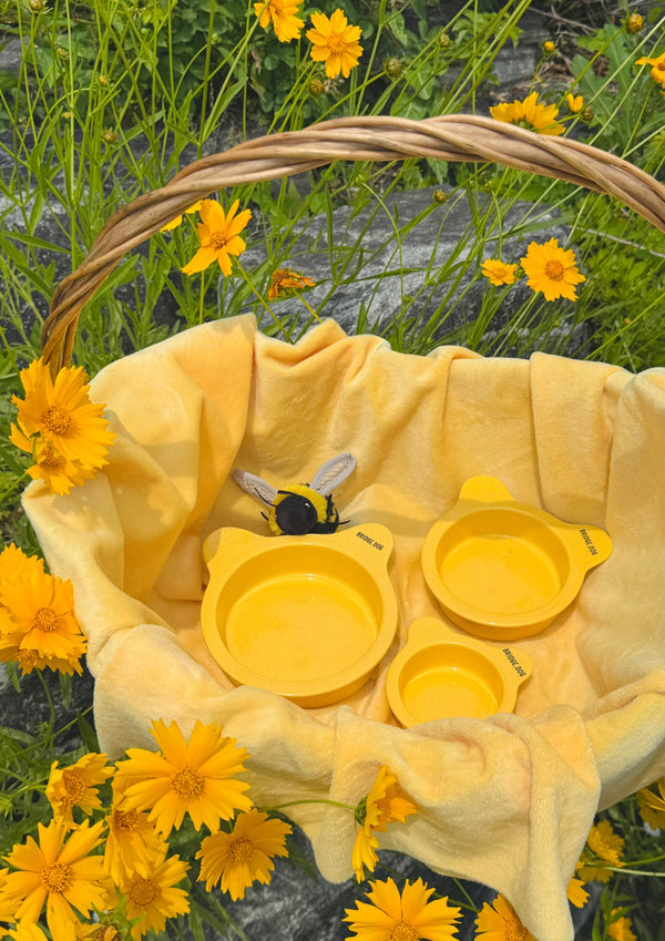 Basic Bear Bowl - Honey Bear
