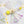 Mini Crinkle Butterfly Cat Teaser Refill Toy