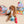 Fish Express Nosework Toy