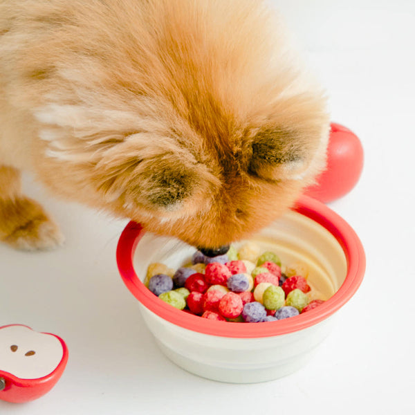 [PRE ORDER] Hello Kitty Pet Bowl